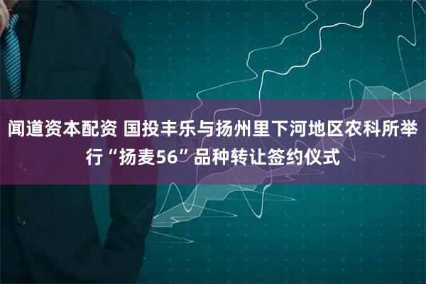 闻道资本配资 国投丰乐与扬州里下河地区农科所举行“扬麦56”品种转让签约仪式