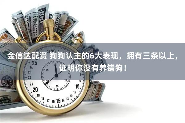 金信达配资 狗狗认主的6大表现，拥有三条以上，证明你没有养错狗！