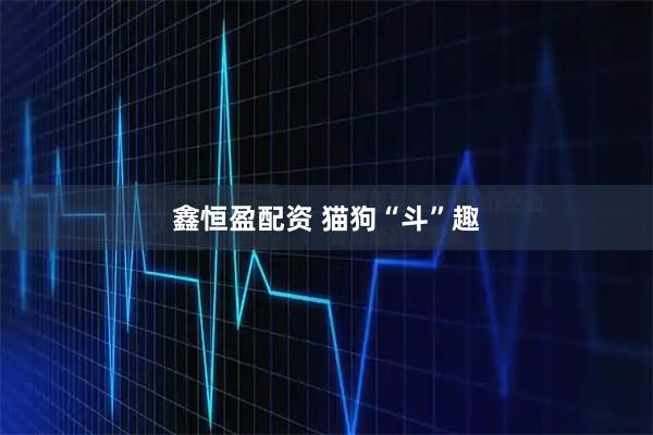 鑫恒盈配资 猫狗“斗”趣