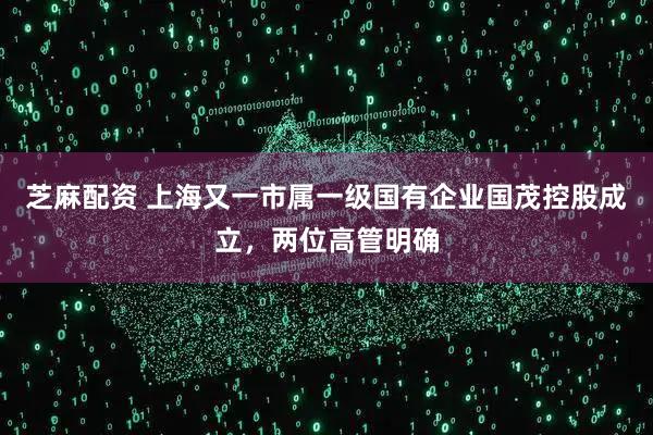 芝麻配资 上海又一市属一级国有企业国茂控股成立，两位高管明确